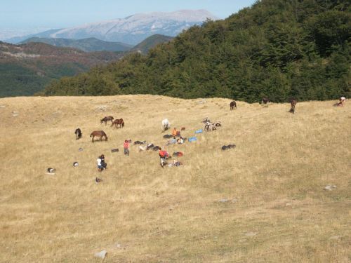 trekking con i muli-59.JPG